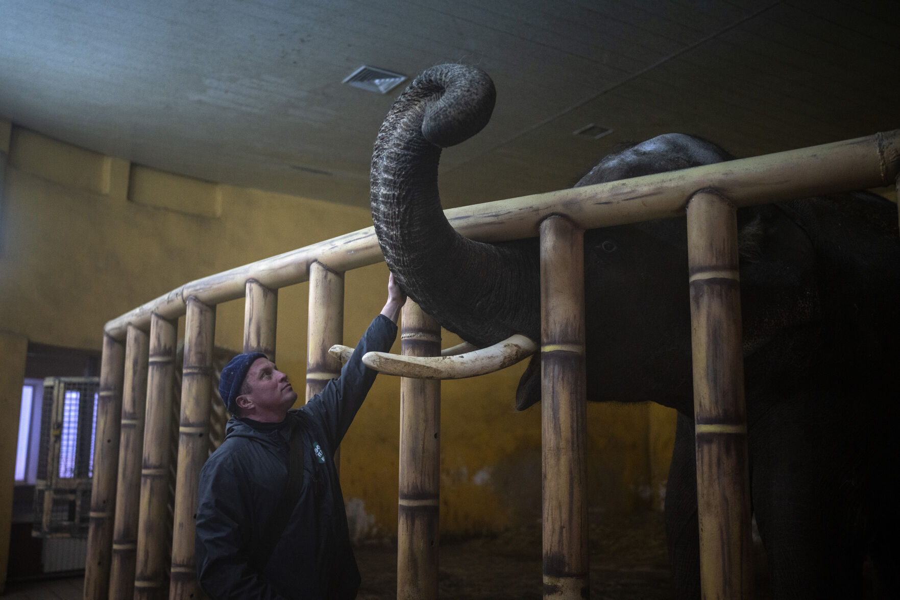 Ukraine War 100 Days Photo Gallery